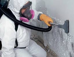 Best Industrial Mold Remediation  in San Francisco, CA